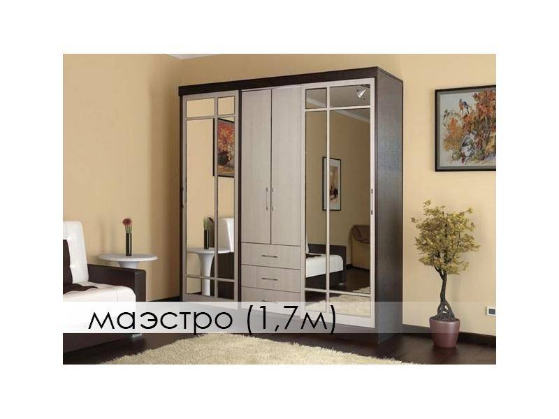 шкаф-купе маэстро в Махачкале