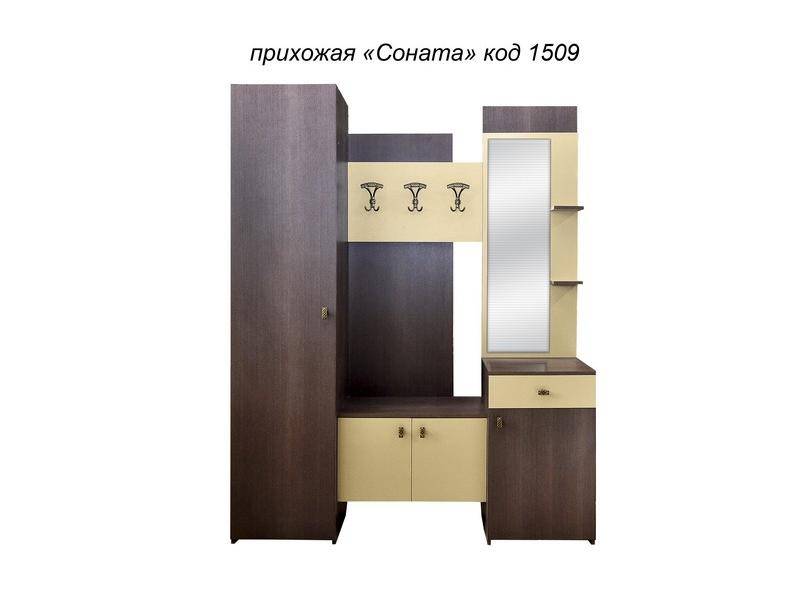 прихожая соната в Махачкале