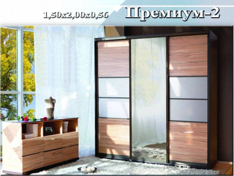 шкаф-купе «премиум 2» в Махачкале