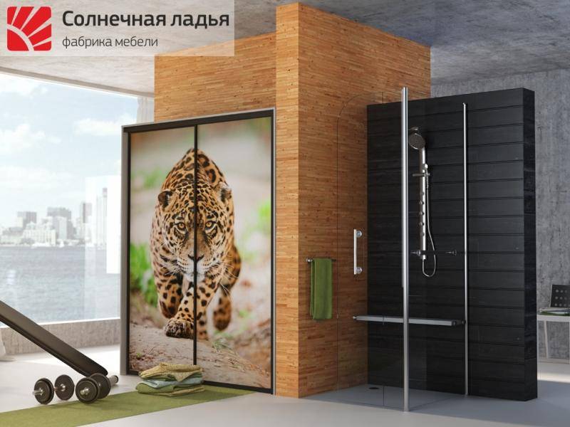 шкаф - купе фотопечать 4 в Махачкале