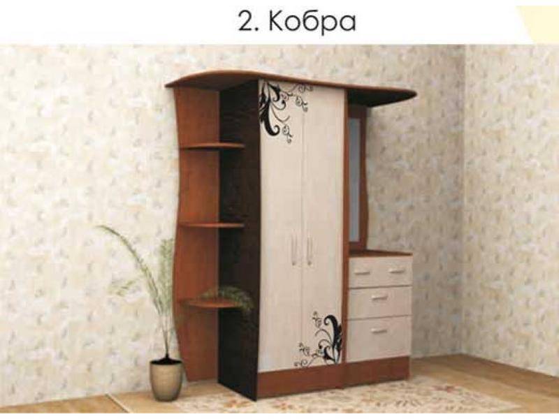 прихожая кобра в Махачкале