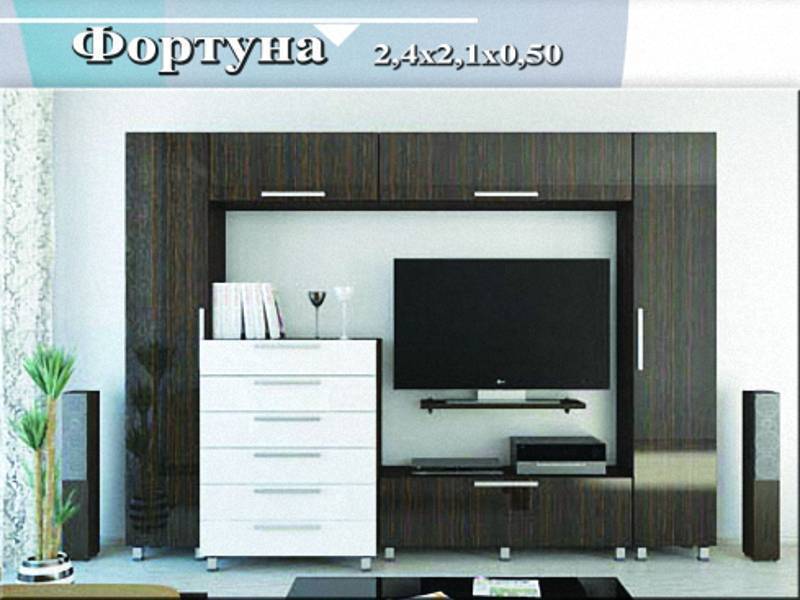 гостиная-стенка «фортуна» в Махачкале