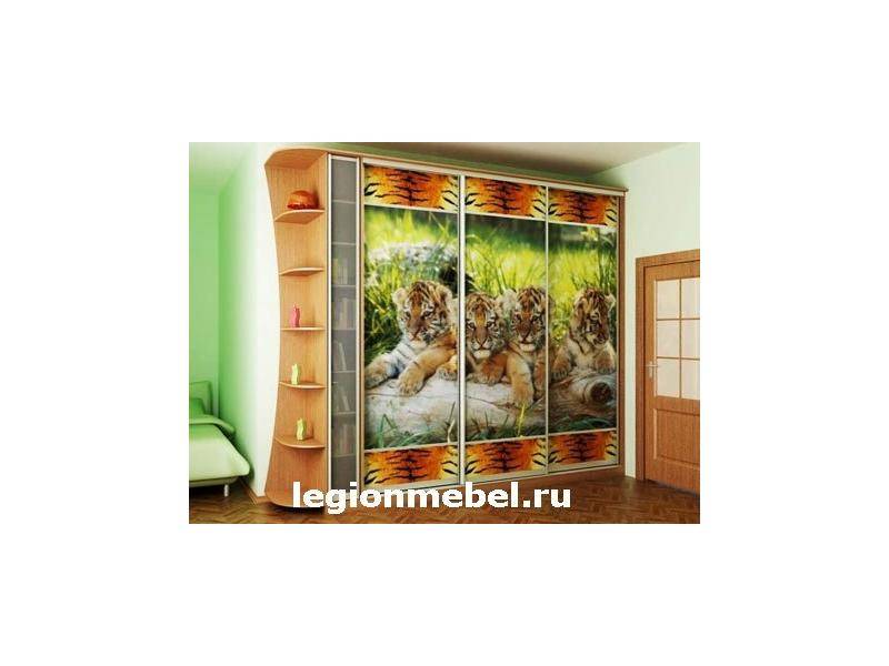 шкаф-купе с фотопечатью в Махачкале