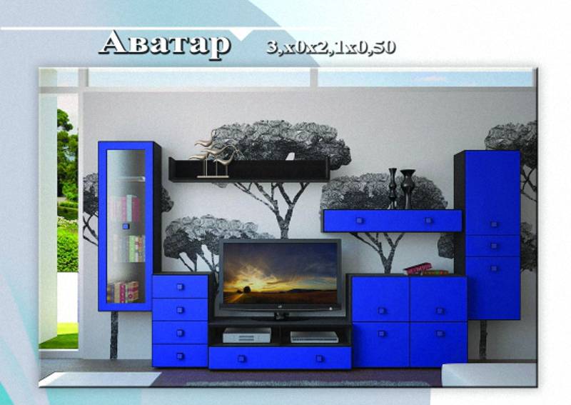 гостиная «аватар» в Махачкале