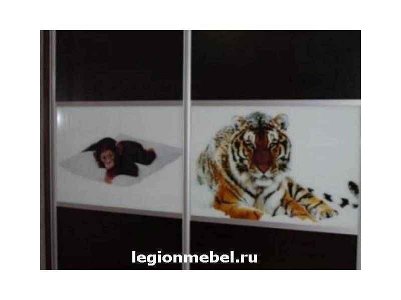 темный шкаф-купе с фотопечатью в Махачкале