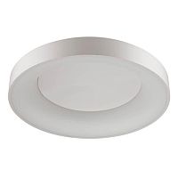 потолочный светодиодный светильник odeon light sole 4062/80cl в Махачкале
