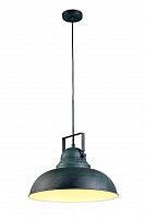 подвесной светильник arte lamp martin a5213sp-1bg в Махачкале