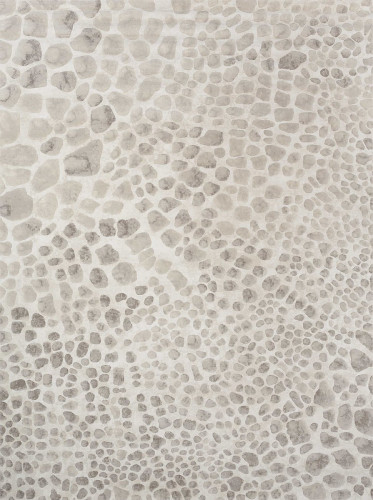 ковер ivory 64227i6575 240x330 в Махачкале