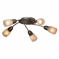 потолочная люстра lussole cevedale grlsq-6907-05 в Махачкале