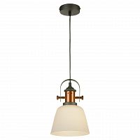 подвесной светильник lussole loft grlsp-9846 в Махачкале
