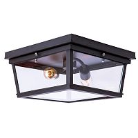 потолочный светильник loft it loft3110-2c в Махачкале