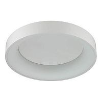 потолочный светодиодный светильник odeon light sole 4062/40cl в Махачкале