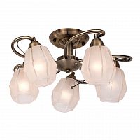 потолочная люстра silver light brazil 506.53.5 в Махачкале