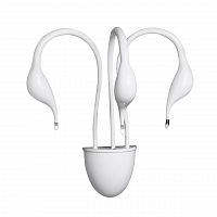 бра lightstar cigno collo wt 751636 в Махачкале