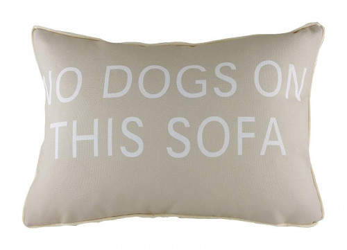 подушка с надписью no dogs on this sofa в Махачкале
