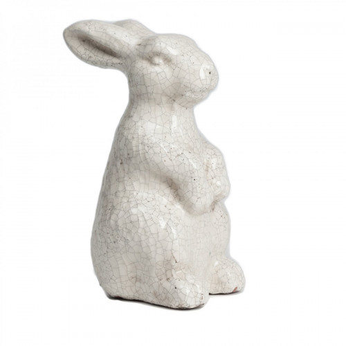 кролик декоративный rabbit в Махачкале