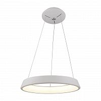 подвесной светодиодный светильник arte lamp a6250sp-1wh в Махачкале