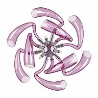 бра lightstar stella 892668 в Махачкале