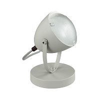 настольная лампа lumion belko 3669/1t в Махачкале