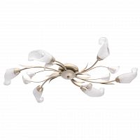 потолочная люстра mw-light восторг 242016906 в Махачкале