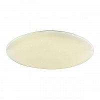 потолочный светодиодный светильник f-promo luna 2319-10c в Махачкале