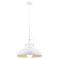 подвесной светильник arte lamp martin a5213sp-1wg в Махачкале