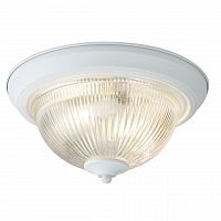 потолочный светильник arte lamp aqua a9370pl-2wh в Махачкале
