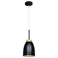 подвесной светильник loft it restor loft4402a-bl в Махачкале