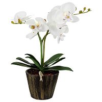 настольная лампа globo flowerpower 28002 в Махачкале