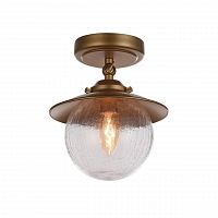 потолочный светильник favourite farola 2027-1u в Махачкале
