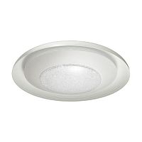 потолочный светодиодный светильник odeon light benso 4623/48cl в Махачкале