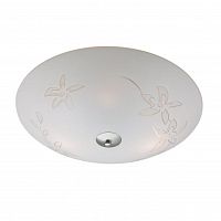 потолочный светильник markslojd orchid 183341-494212 в Махачкале