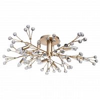 потолочная люстра mw-light адриатика 280011810 в Махачкале