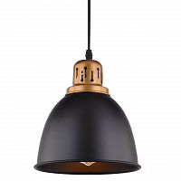 подвесной светильник arte lamp eurica a4245sp-1bk в Махачкале
