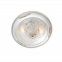 потолочный светильник odeon light corbea 2670/2c в Махачкале