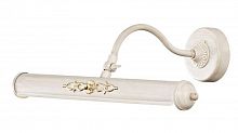 подсветка для картин st luce illuminazione sl574.501.02 в Махачкале