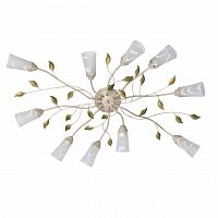 потолочная люстра mw-light восторг 242015510 в Махачкале