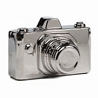 предмет декора camera серебряная в Махачкале