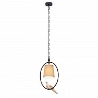 подвесной светильник loft it loft1029a-1 в Махачкале