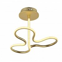 потолочный светодиодный светильник arti lampadari angelo l 1.2.35.03 g в Махачкале