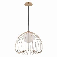 подвесной светильник maytoni polly mod542pl-01g в Махачкале