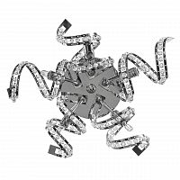 бра lightstar spider 742654 в Махачкале