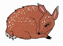 ковер шерстяной олененок the deer в Махачкале