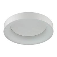 потолочный светодиодный светильник odeon light sole 4062/50cl в Махачкале
