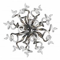 бра lightstar medusa 890659 в Махачкале